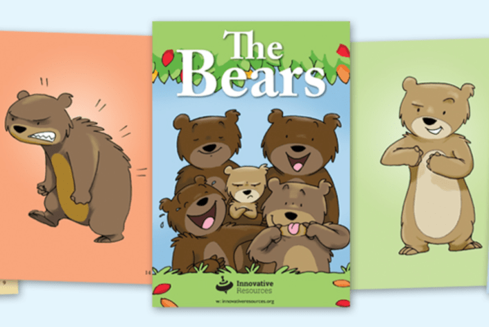 The Bears